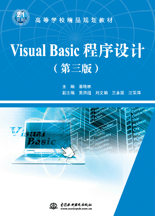 Visual BasicOӋ棩